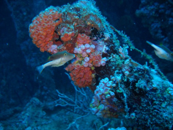 Pompano Beach, Florida