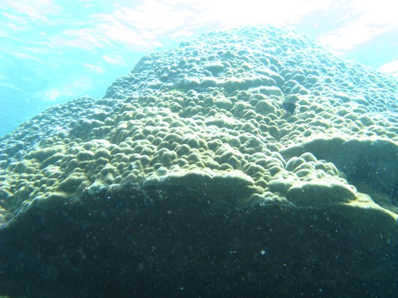 Queensland, Australia