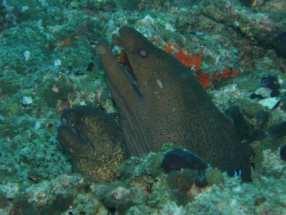 Velidhu, Maldives