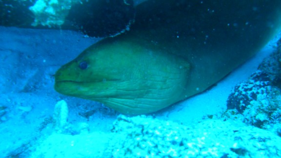 Quintana Roo, Mexico