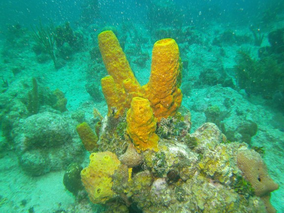 George Town, Cayman Islands