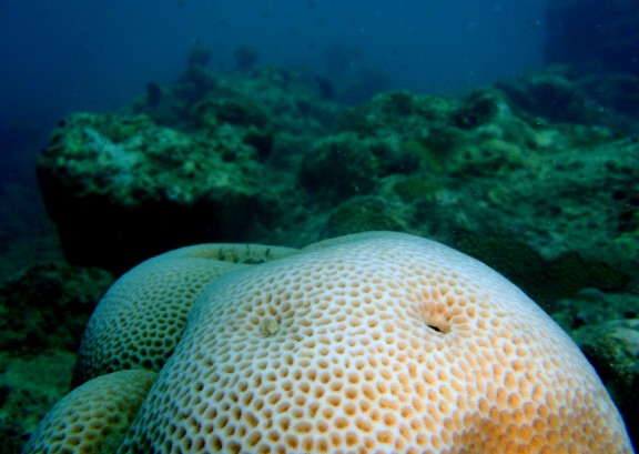Andaman, India