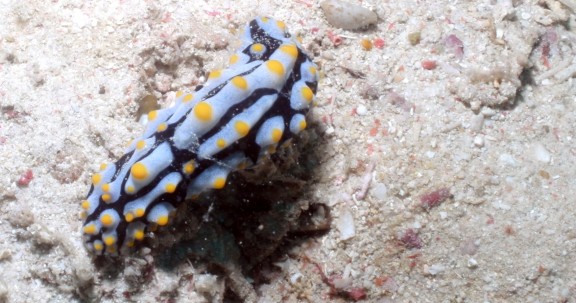 Malaysia