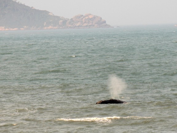 Florianópolis, República Federativa do Brasil