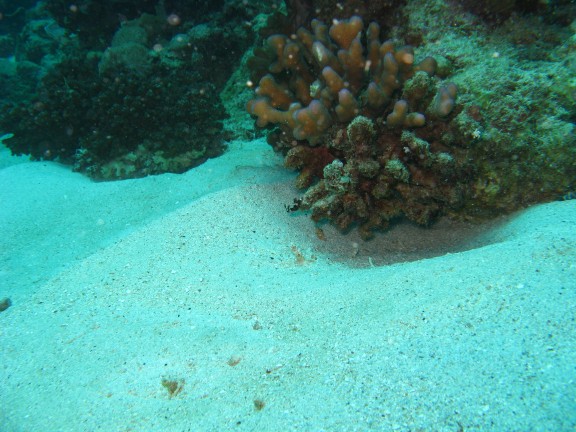 Queensland, Australia