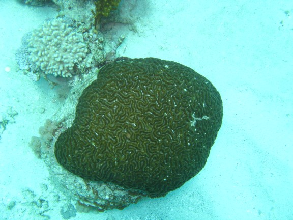 Queensland, Australia