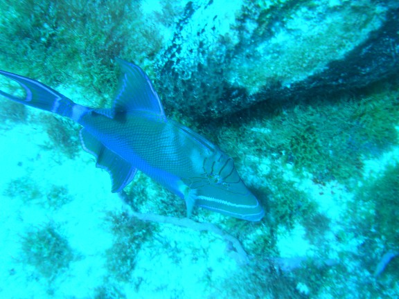Quintana Roo, Mexico