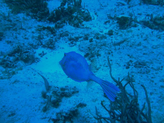 Quintana Roo, Mexico