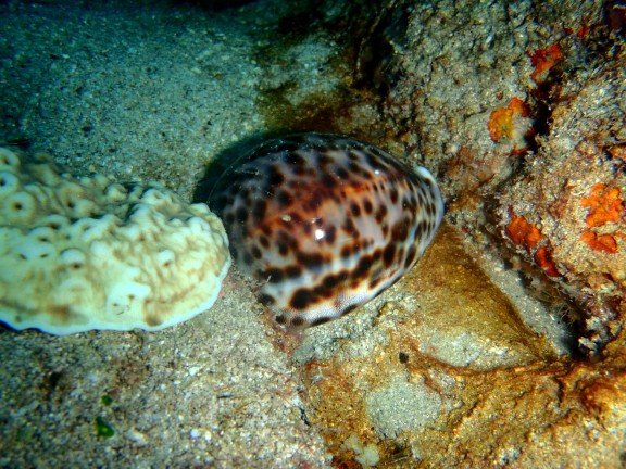 Andaman, India