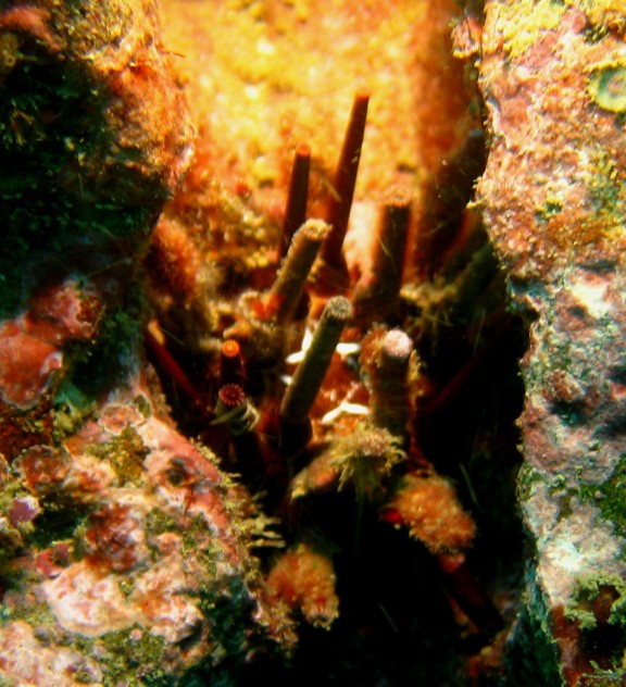 San Juan del Sur, Nicaragua