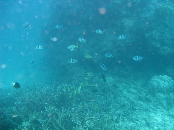 Queensland, Australia