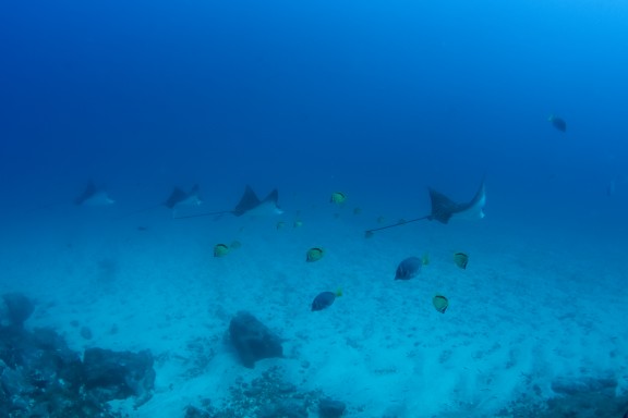 Islas Galápagos, Ecuador