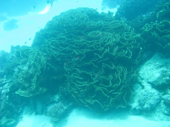 Queensland, Australia