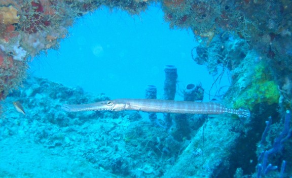 Pompano Beach, Florida
