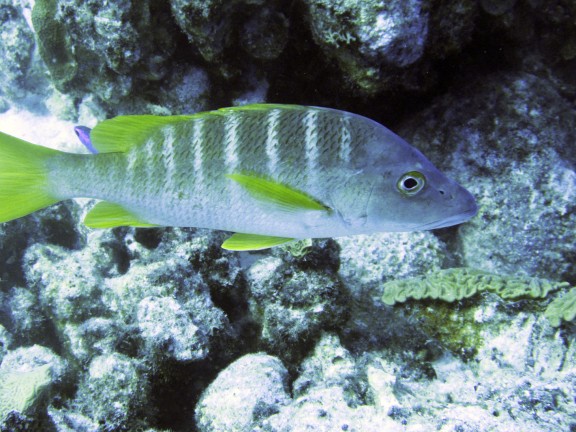 Kralendijk, Netherlands Antilles