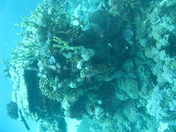 Queensland, Australia