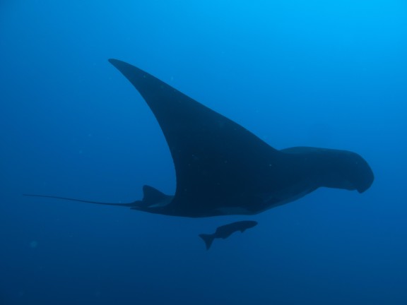 Revillagigedo Archipelago, Mexico