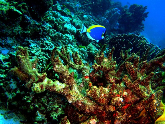 Islas Similan.