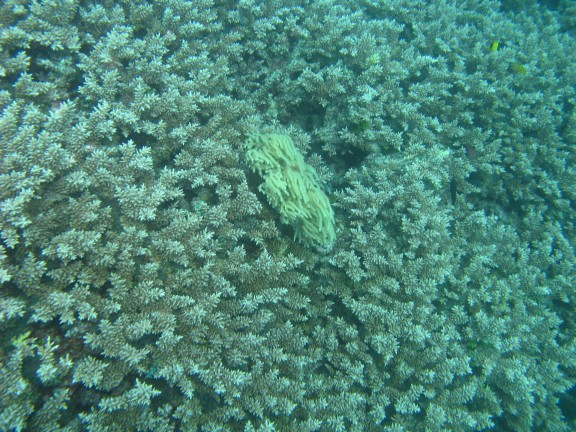 Queensland, Australia