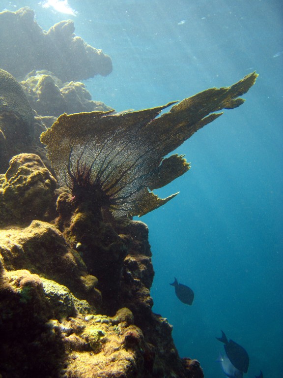 San Juan, Puerto Rico