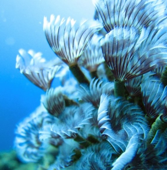 Aguadilla, Puerto Rico