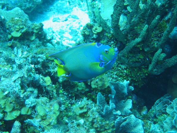 egitto sharm