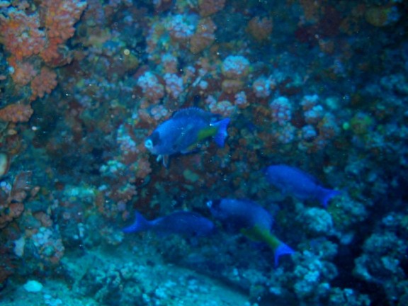 Pompano Beach, Florida