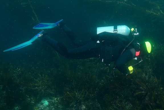 Gulf of Cortez