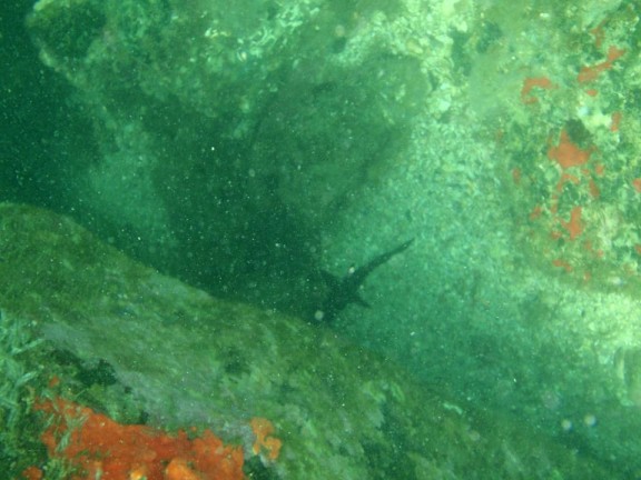 Florianópolis, República Federativa do Brasil