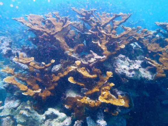 Key Largo 