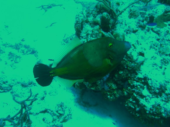 Cozumel, Mexico