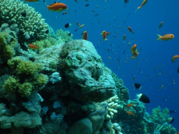 Qesm Sharm Ash Sheikh, Égypte
