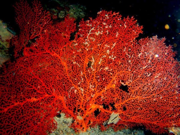 port blair, india
