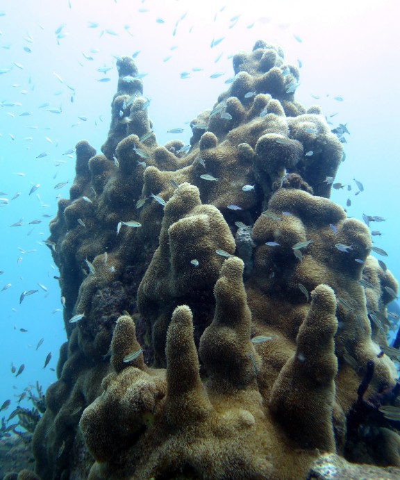 Bayahibe, Dominikanische Republik