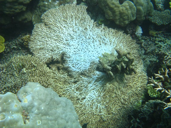 Queensland, Australia