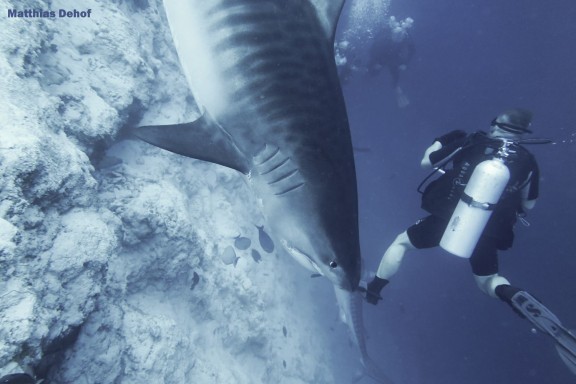 Gnaviyani Atoll, Maldives