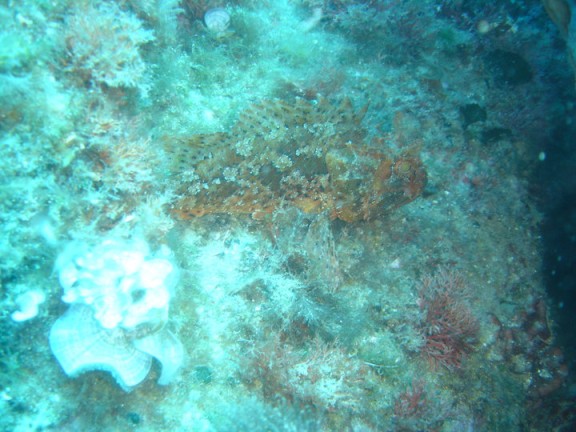 Torroella de Montgrí, España
