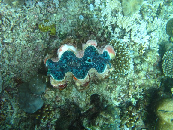 Queensland, Australia