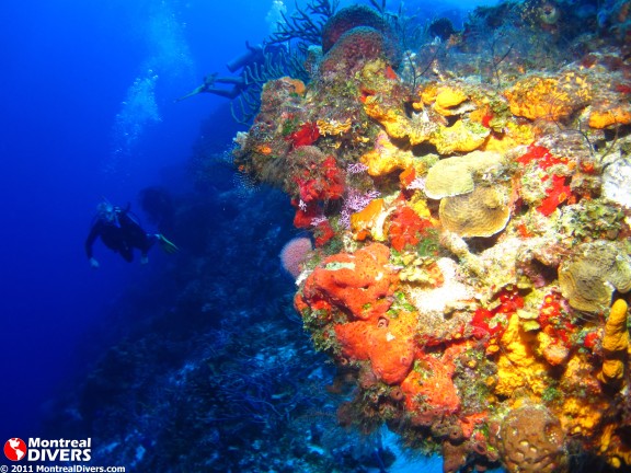 Quintana Roo, Mexique