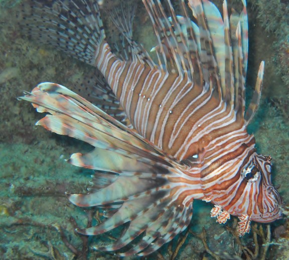 Pompano Beach, United States
