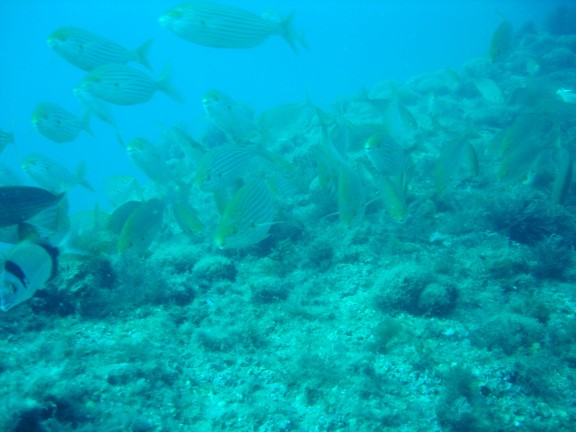 Torroella de Montgrí, España