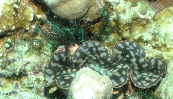 Malaysia