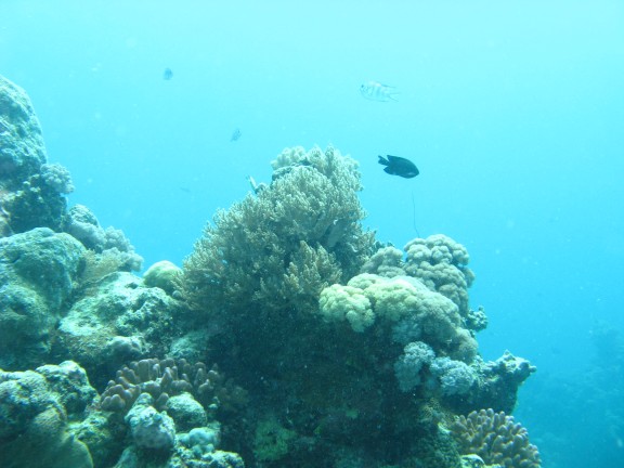 Queensland, Australia