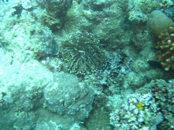 Queensland, Australia