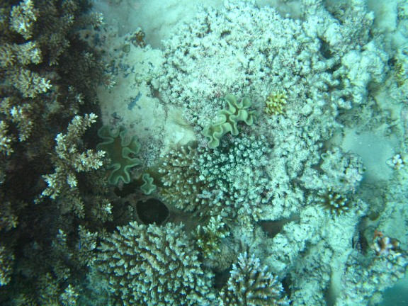 Queensland, Australia