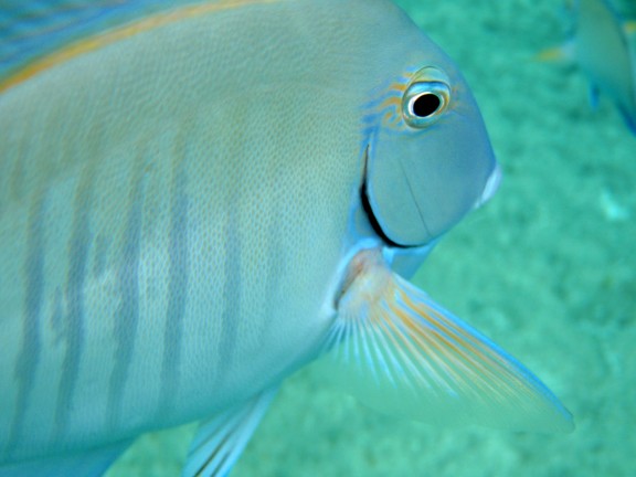 Quintana Roo, Mexico