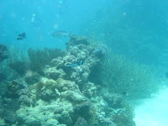 Queensland, Australia
