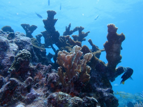 Key Largo