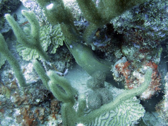 Kralendijk, Netherlands Antilles