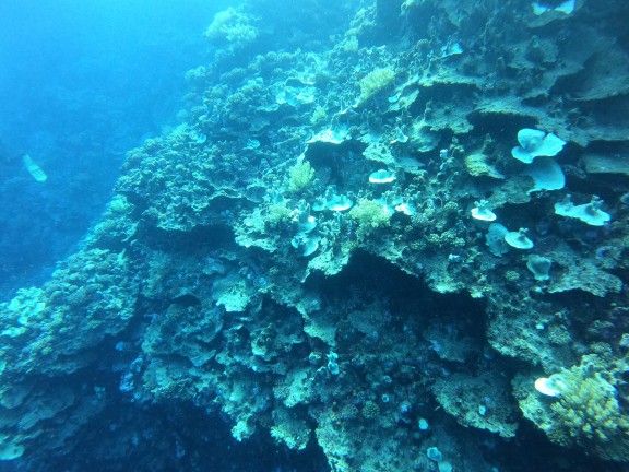 Red Sea, Egypt